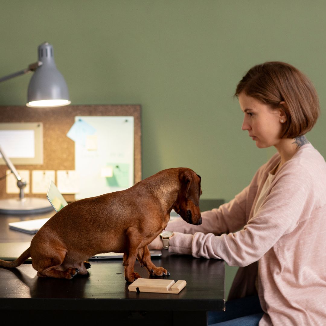 Untitled design (25)