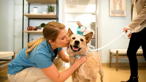 Reliable, in-home dog care in Washington DC that keeps your dog comfortable, relaxed, and following their normal routine. Trusted sitters who provide personalized attention while you’re away.
