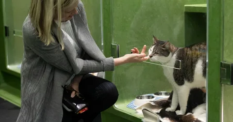 pet sitting services in Washington DC